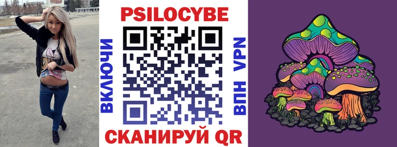 Псилоцибиновые грибы GOLDEN TEACHER  Гдов 